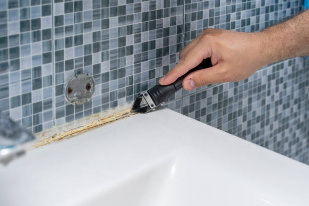 Best Mold Remediation  in Eatons Neck, NY